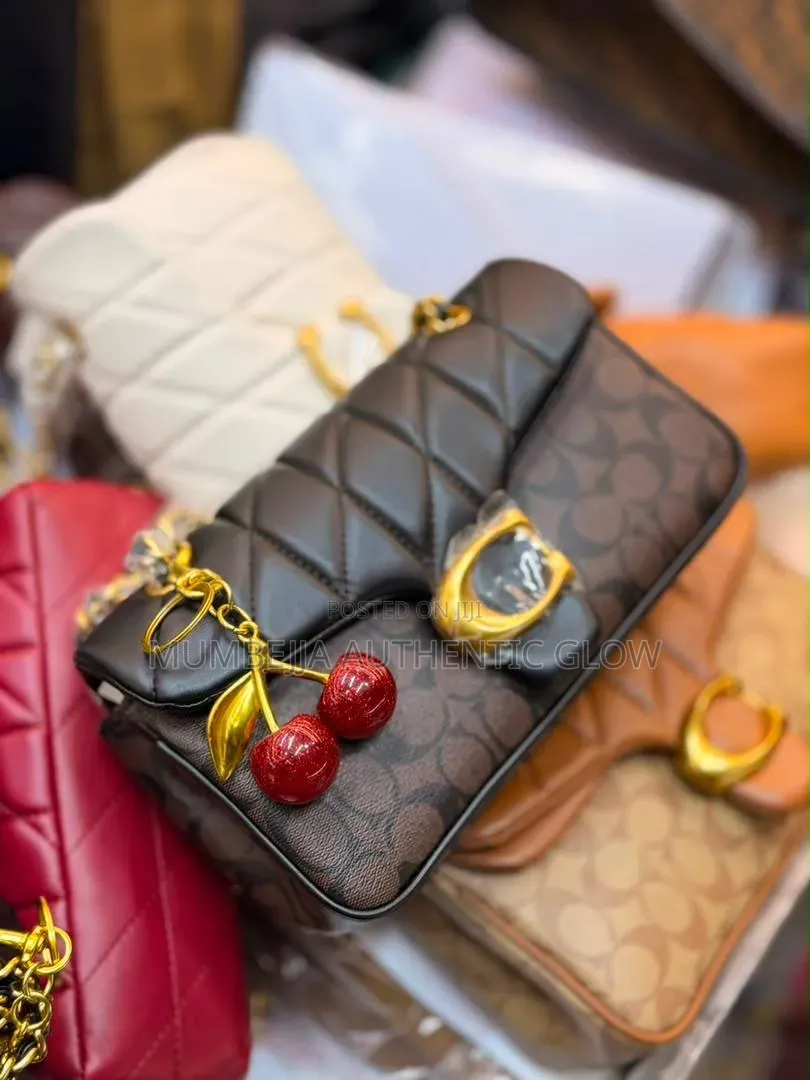 Coach Bags for Ladies