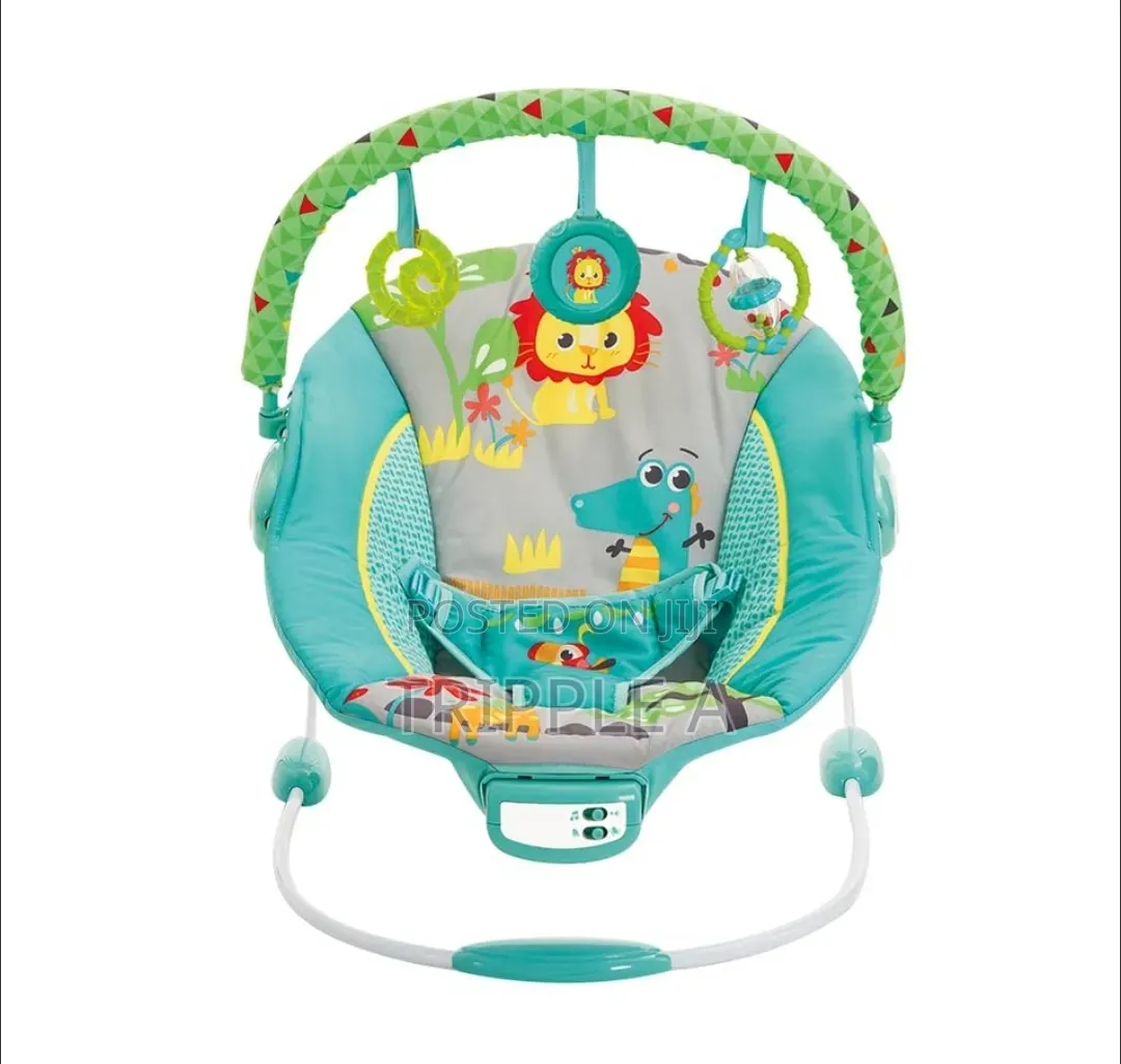 Masters Vibration and Musical Baby Bouncer Rocker