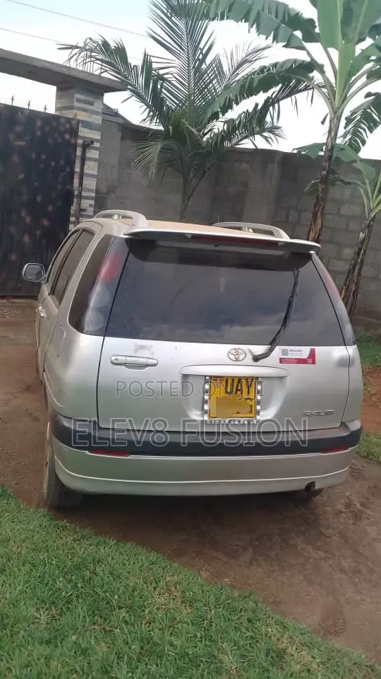 Toyota Raum 1999 Gray