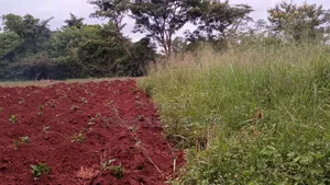 2Acres 
5m Each
Nakasongola City