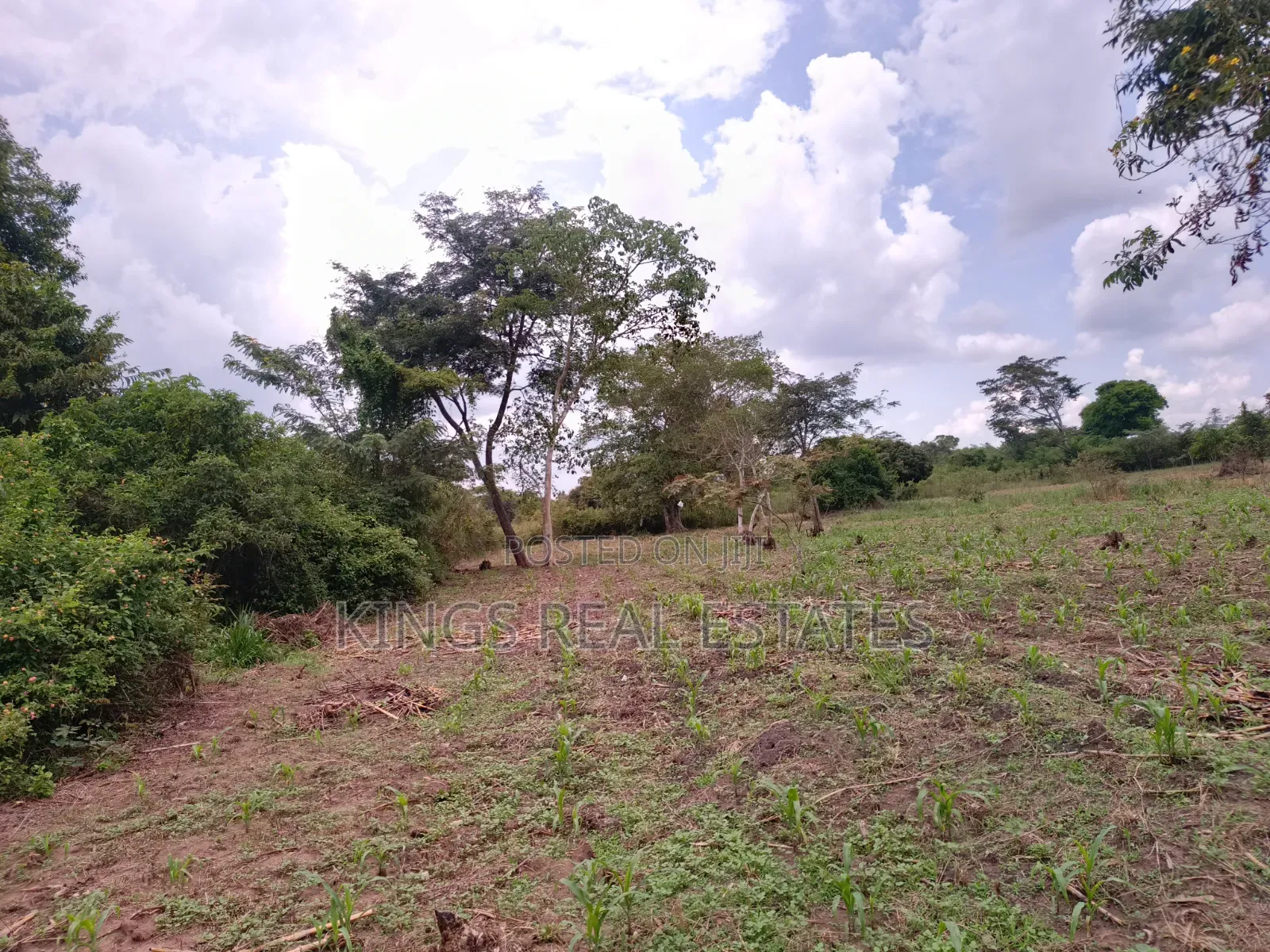 2Acres 
5m Each
Nakasongola City
