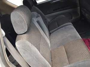 Toyota Ipsum 2003 Gray