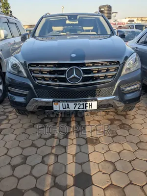 Mercedes-Benz M Class 2013 Gray