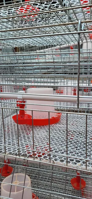 Brooding Cages / Broiler Cages