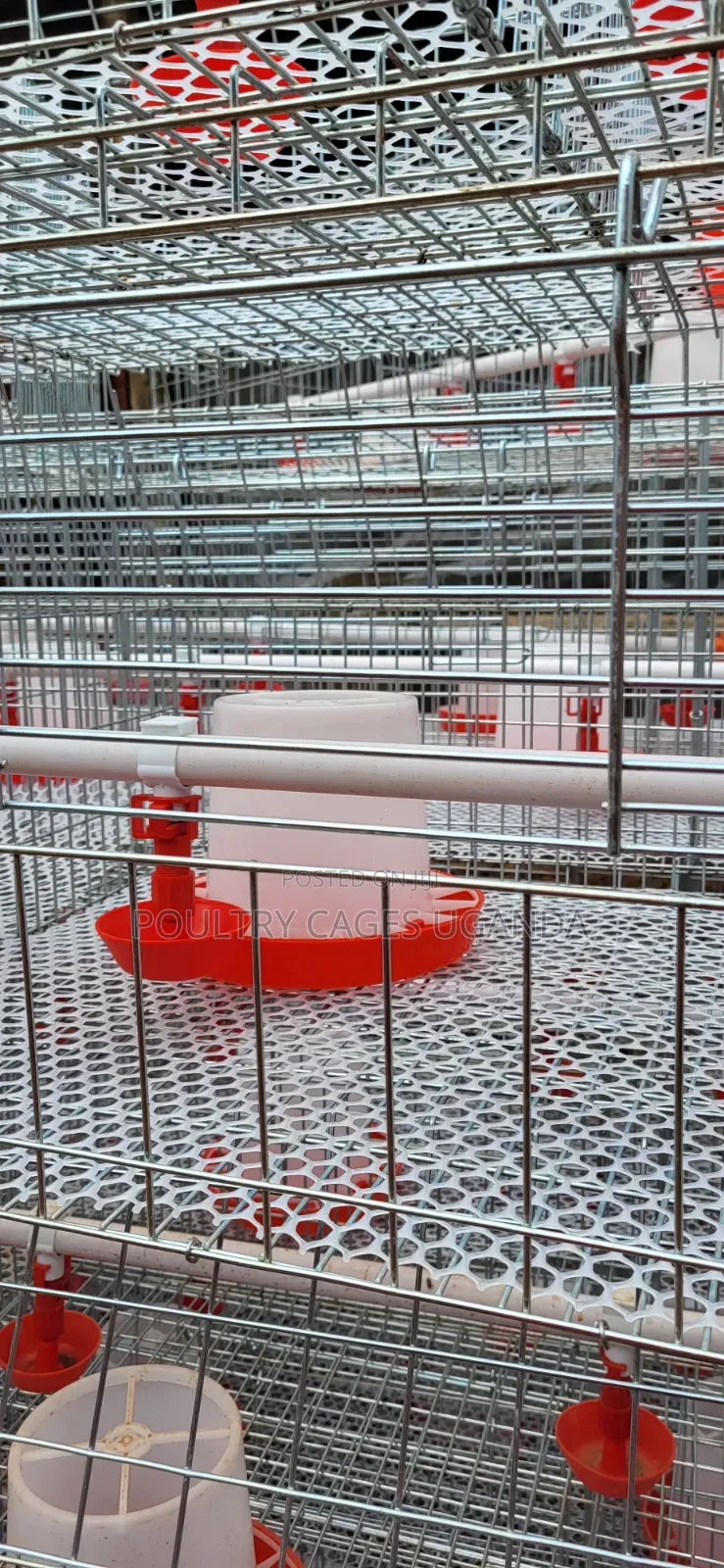 Brooding Cages / Broiler Cages