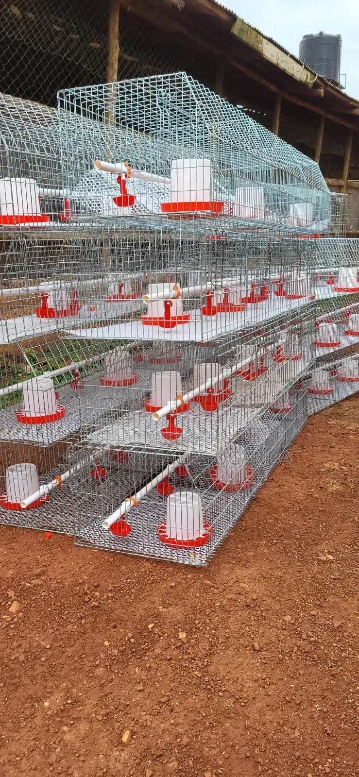 Brooding Cages / Broiler Cages