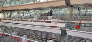 Brooding Cages / Broiler Cages
