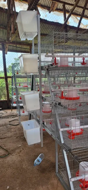 Brooding Cages / Broiler Cages