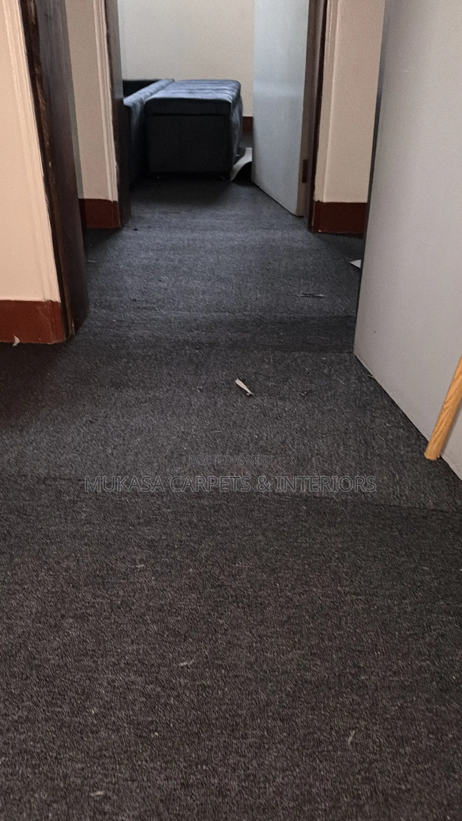 Affordable Wool Carpet – Beautiful Designs & Quality