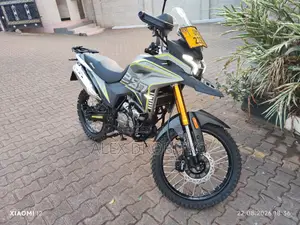 New Shineray XY250-11 2025 Gray