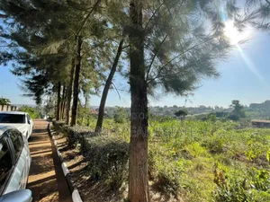 Land for Sale in Lubowa Size 50 Decimals.