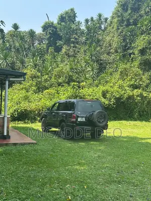 Toyota Land Cruiser 2009 Black