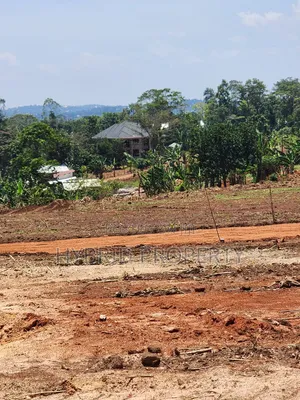 Prime Plots for Sale at Mabombwe~Bulondo Wakiso Divine Land Estate X