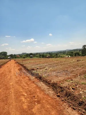 Prime Plots for Sale at Mabombwe~Bulondo Wakiso Divine Land Estate X