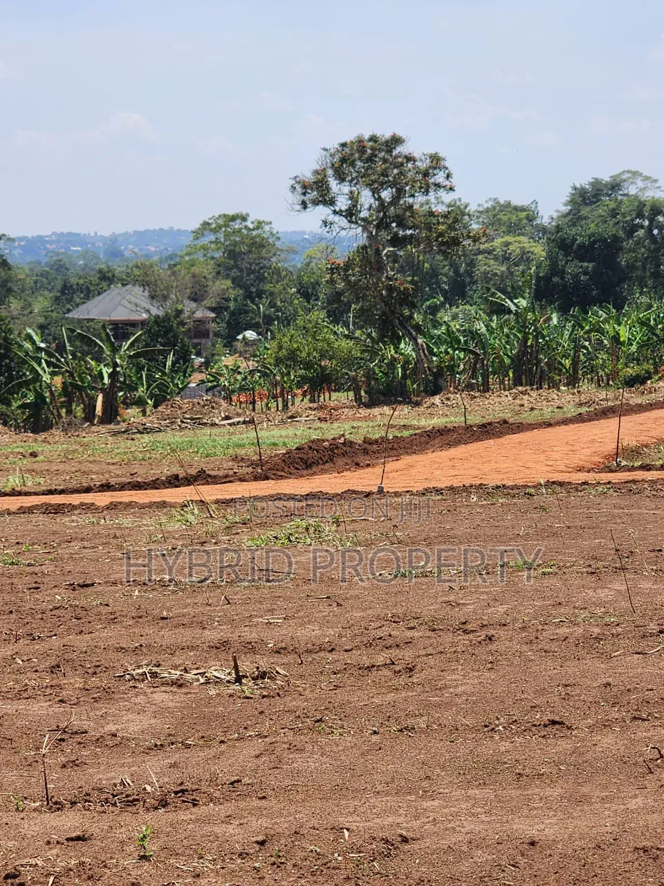 Prime Plots for Sale at Mabombwe~Bulondo Wakiso Divine Land Estate X