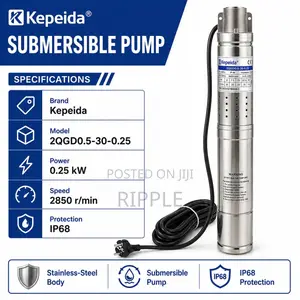 250W AC Borehole Water Pump 70m Head 1,800l/H 220V Deep Well Pump