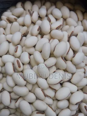 Jack Beans/White Beans