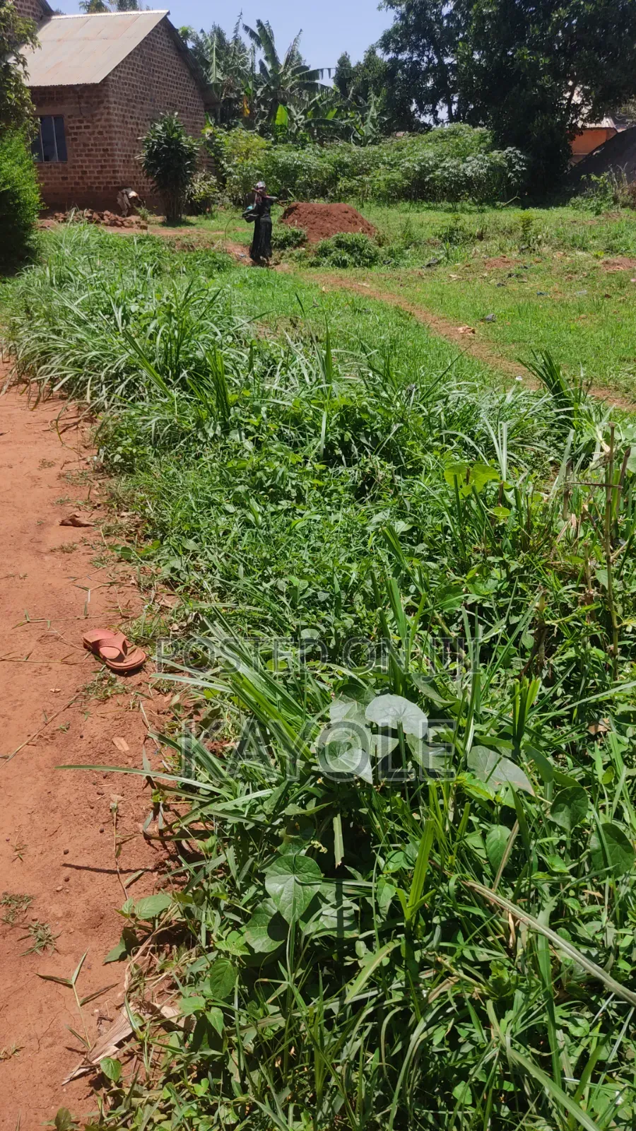 Land for Sale Katubwe Centre Wakiso