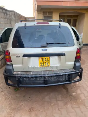 Ford Escape 2005 Gold