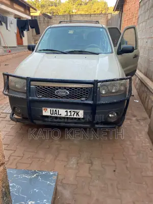 Ford Escape 2005 Gold