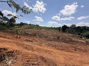 Prime Plots for Sale at Kakiri~Gobero Muguluka Divine Estate~Hoima Rd.