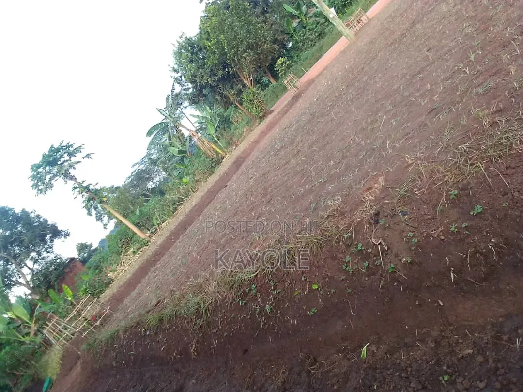 2 Acres in Luwero Bugabo