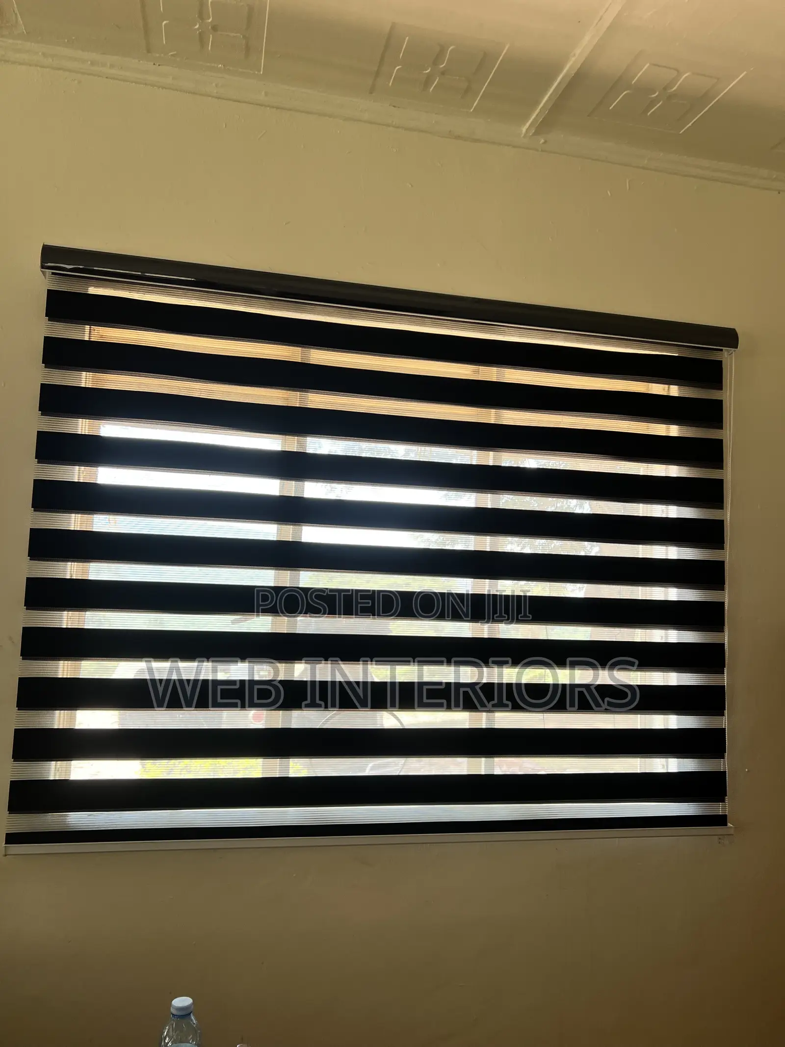 Zebra Blinds
