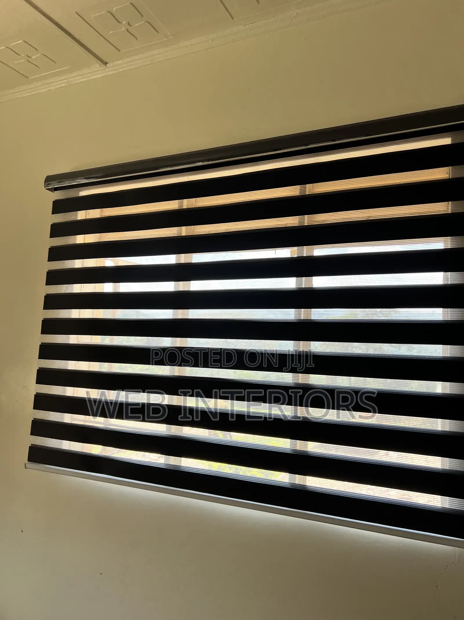 Zebra Blinds