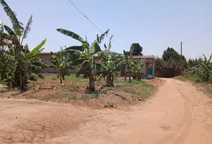 Prime Plot for Sale at Wakiso~Buyera Town~Hoima Rd [Wakiso District] X
