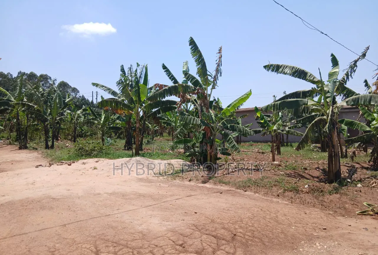 Prime Plot for Sale at Wakiso~Buyera Town~Hoima Rd [Wakiso District] X
