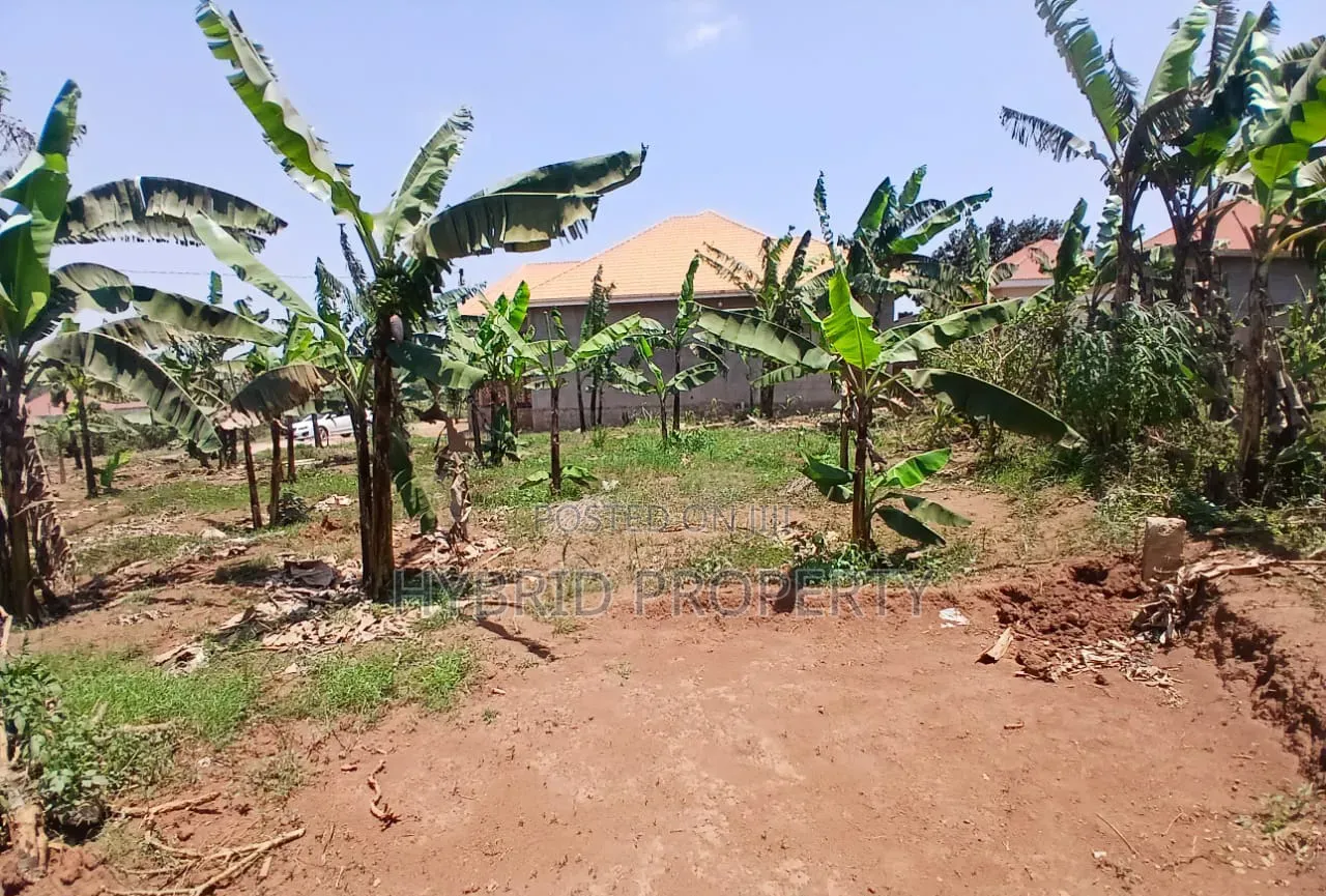Prime Plot for Sale at Wakiso~Buyera Town~Hoima Rd [Wakiso District] X