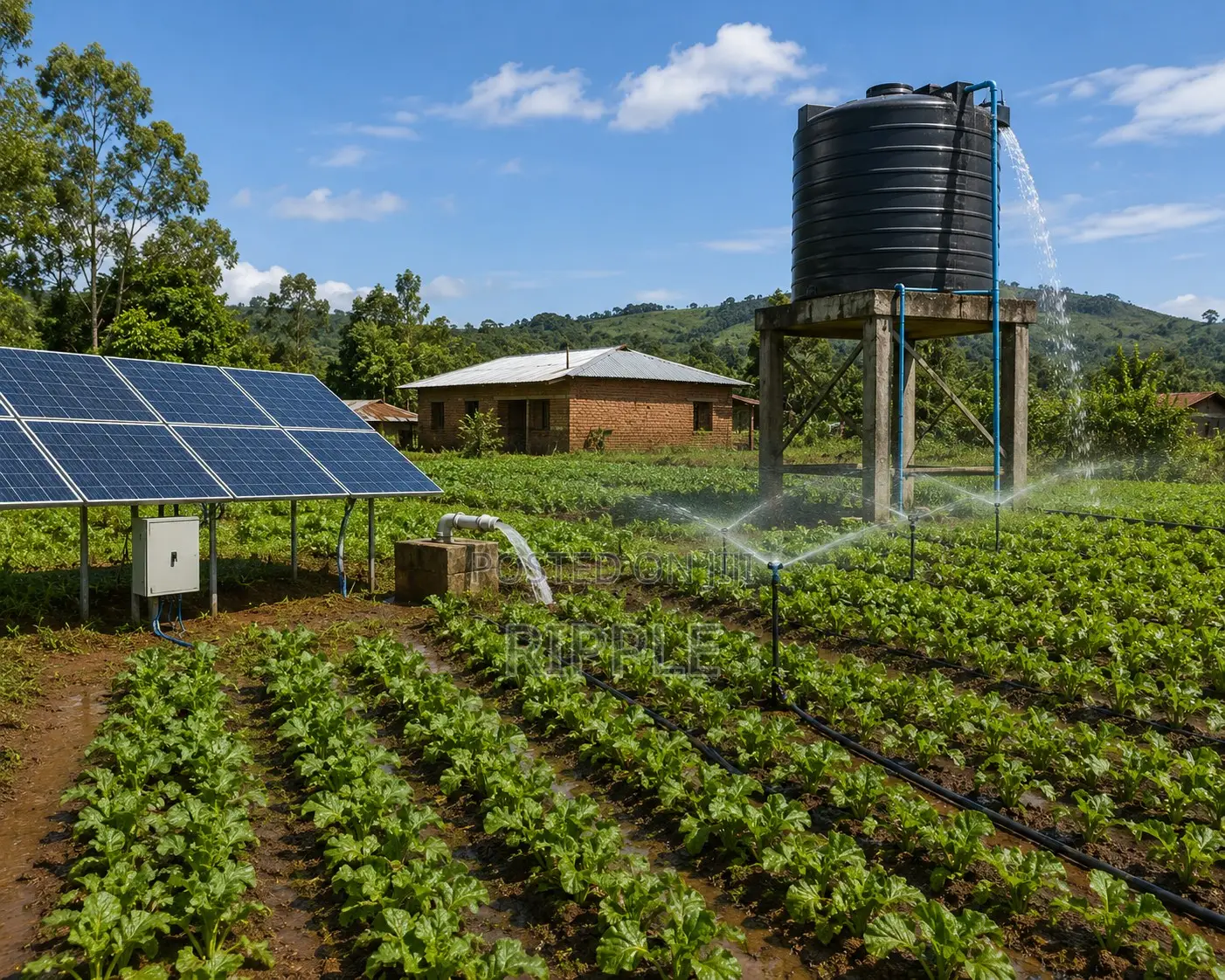 1500W Solar Borehole Pump 165m Head 4,000l/H 110V Deep Well Pump