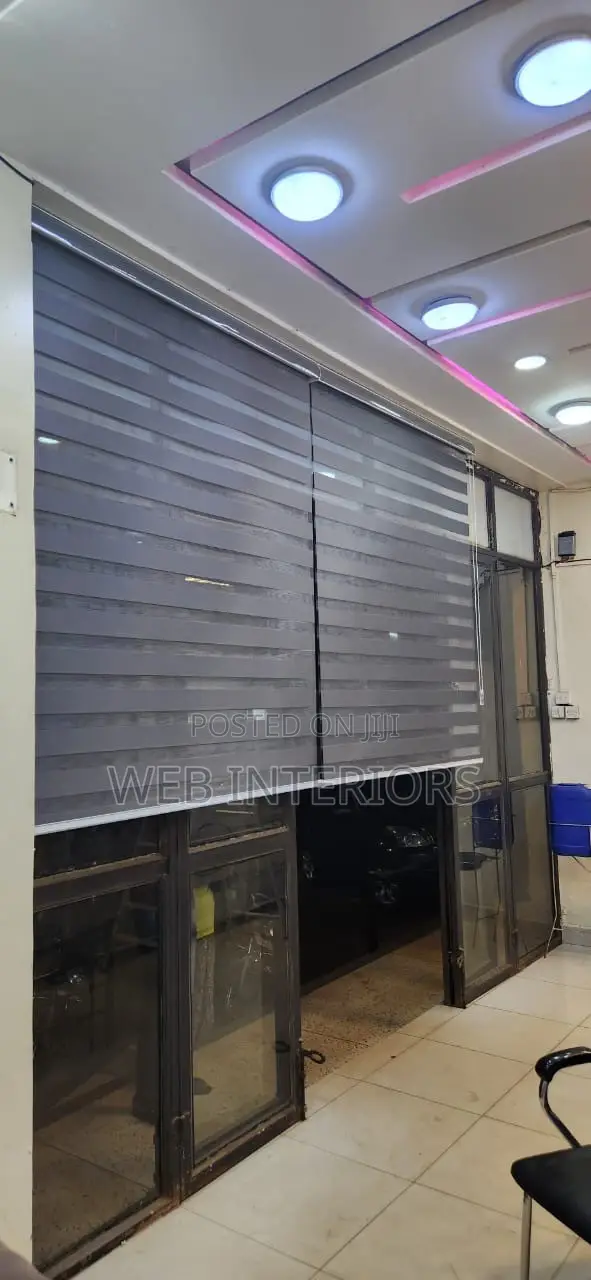 Zebra Blinds