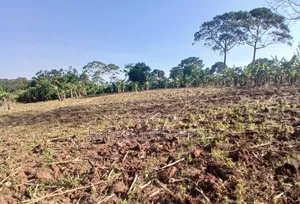 5Acres of Land for Sale at Bulondo~Mabombwe Wakiso Along Hoima Road.