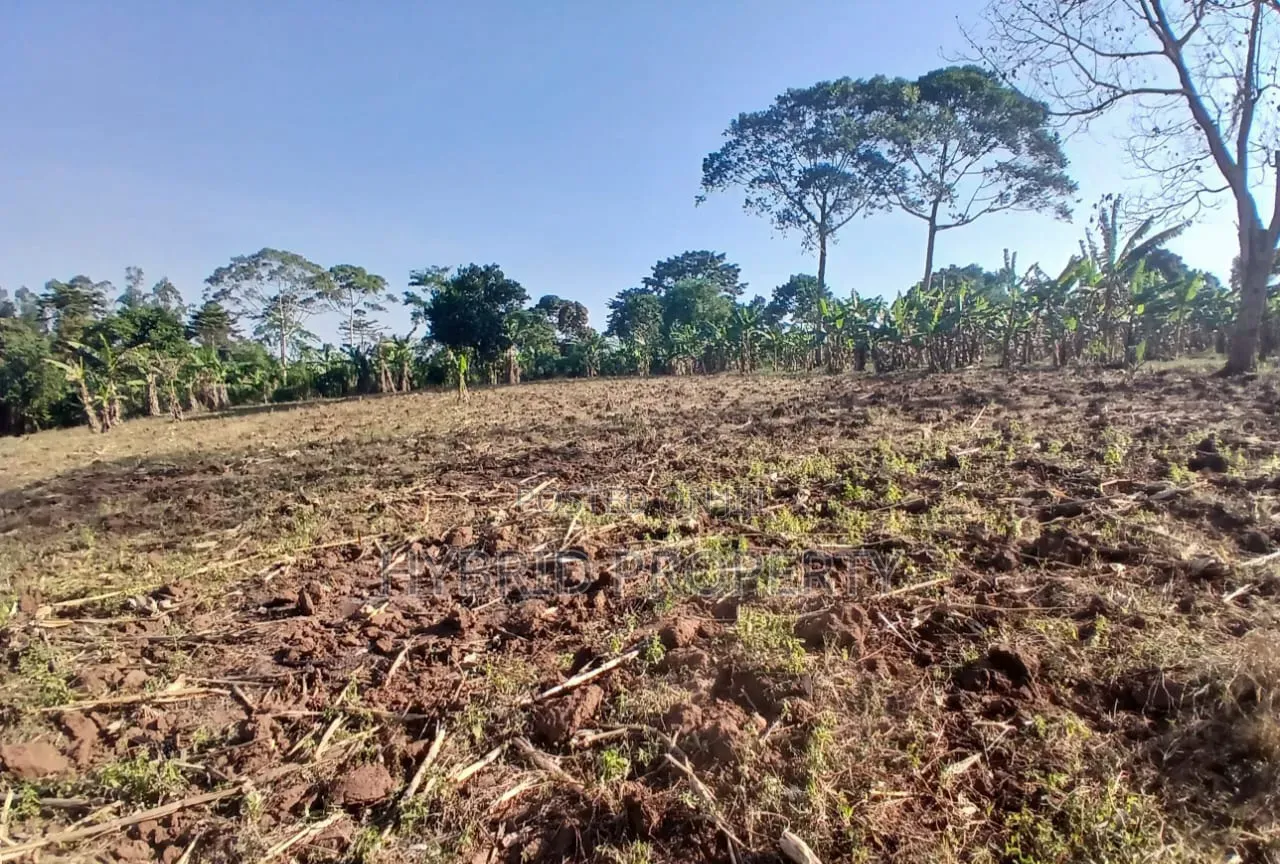 5Acres of Land for Sale at Bulondo~Mabombwe Wakiso Along Hoima Road.