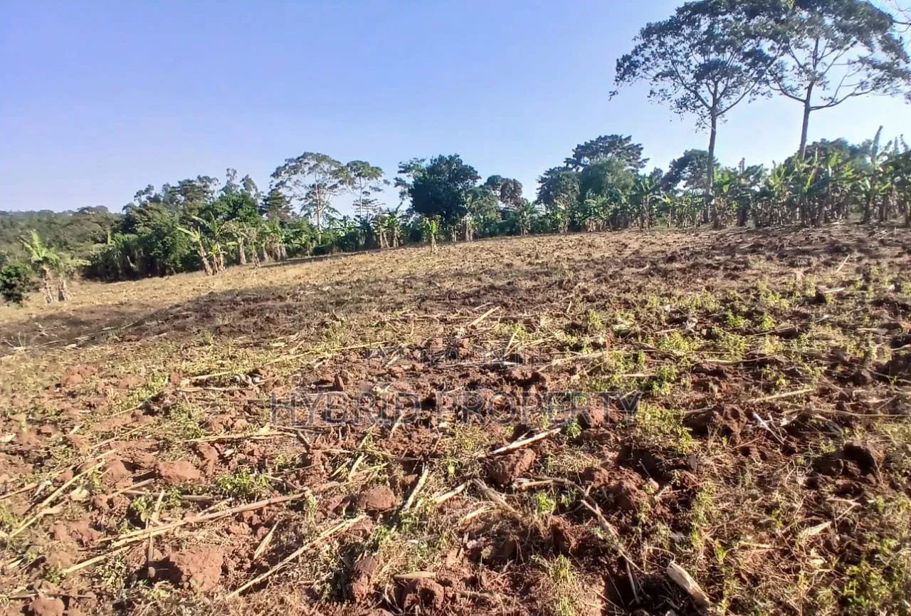 5Acres of Land for Sale at Bulondo~Mabombwe Wakiso Along Hoima Road.