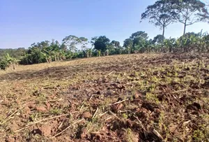 5Acres of Land for Sale at Bulondo~Mabombwe Wakiso Along Hoima Road.