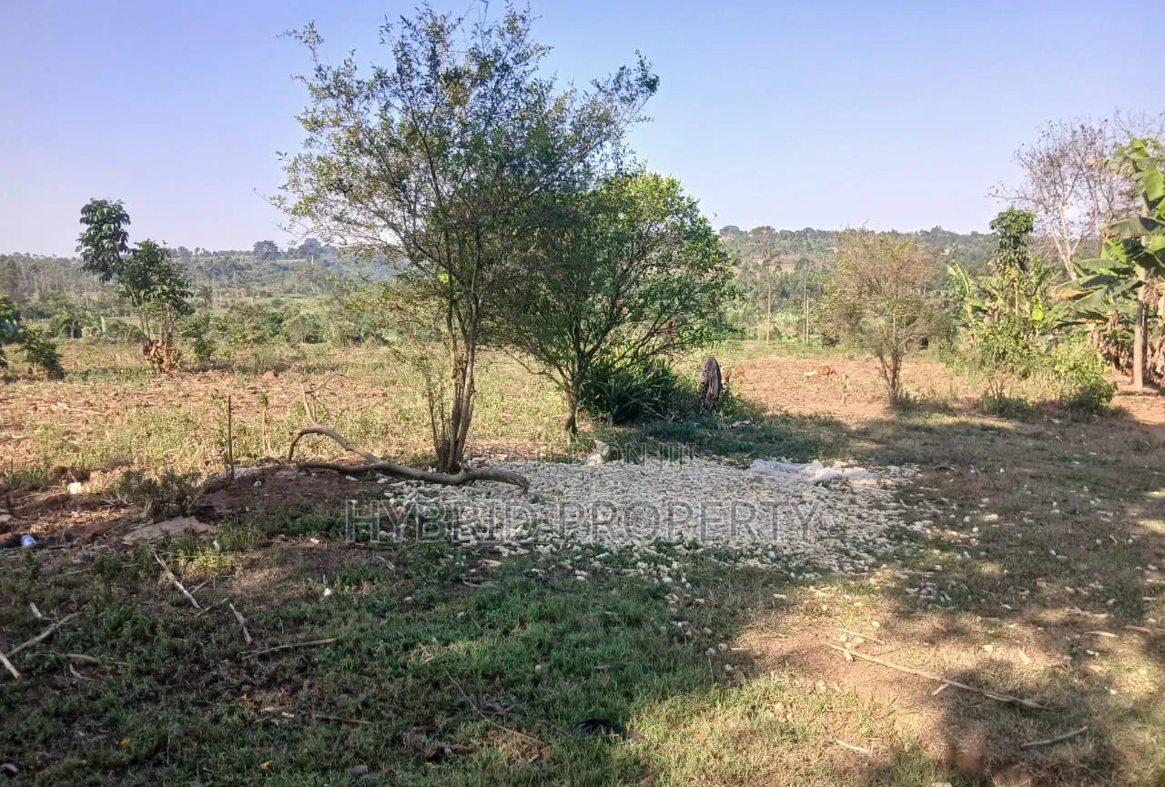 5Acres of Land for Sale at Bulondo~Mabombwe Wakiso Along Hoima Road.