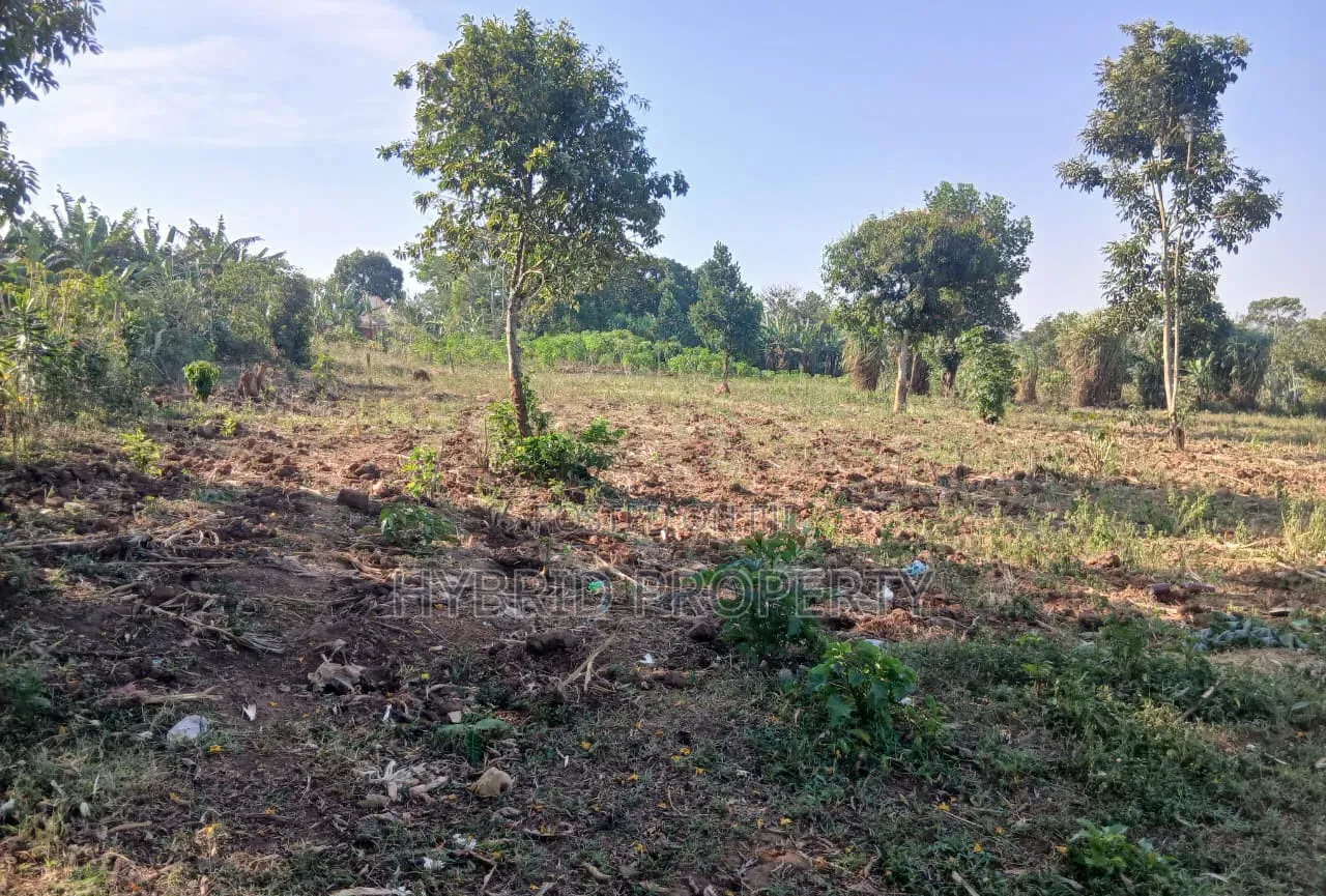 5Acres of Land for Sale at Bulondo~Mabombwe Wakiso Along Hoima Road.