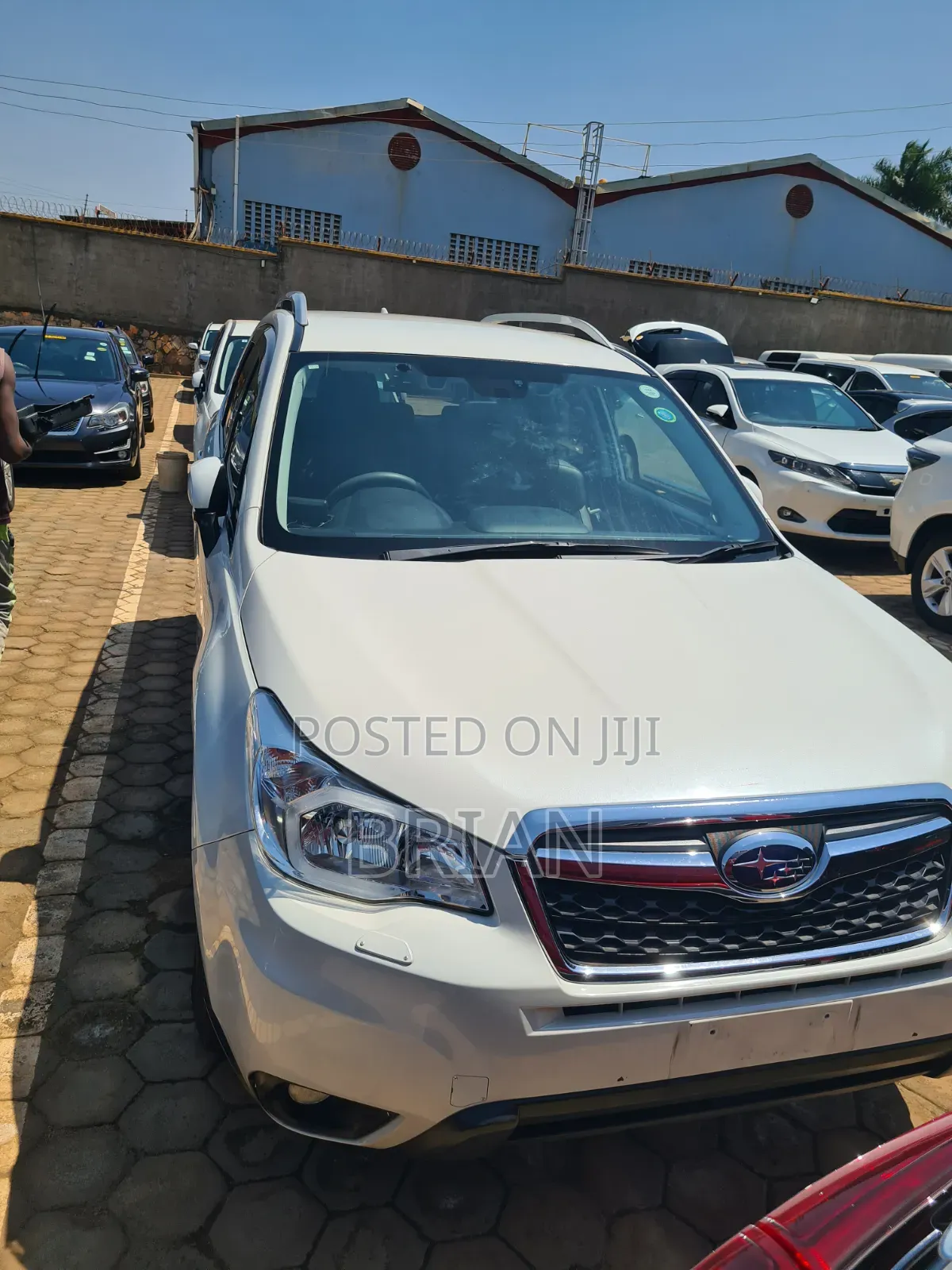 Subaru Forester 2015 White