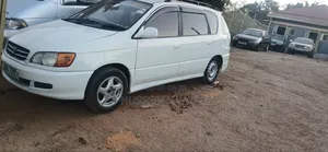 Toyota Ipsum 2000 White