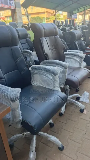 Eclxecutive Office Chair