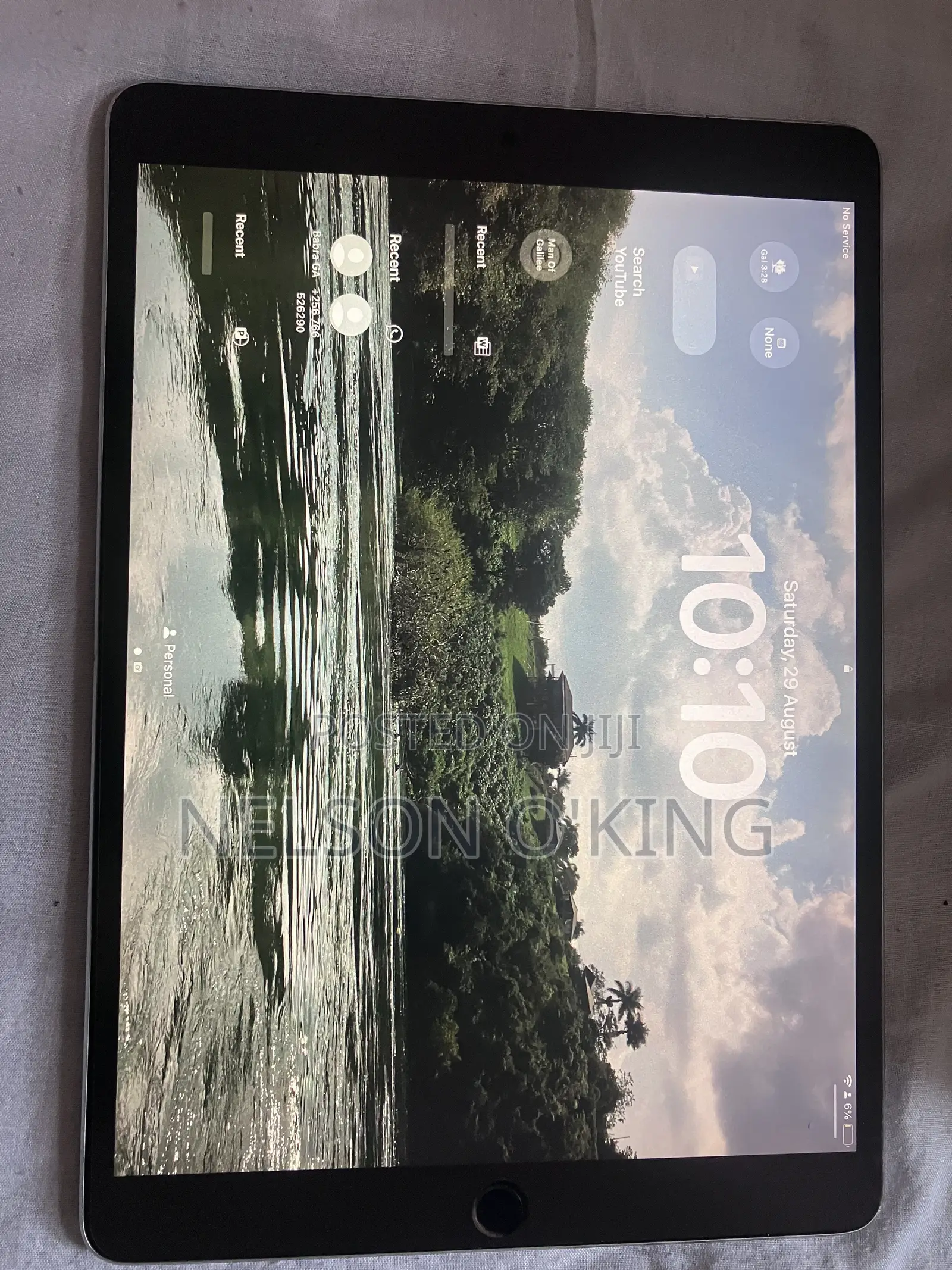 Apple iPad Pro 10.5 (2017) 256 GB Gray