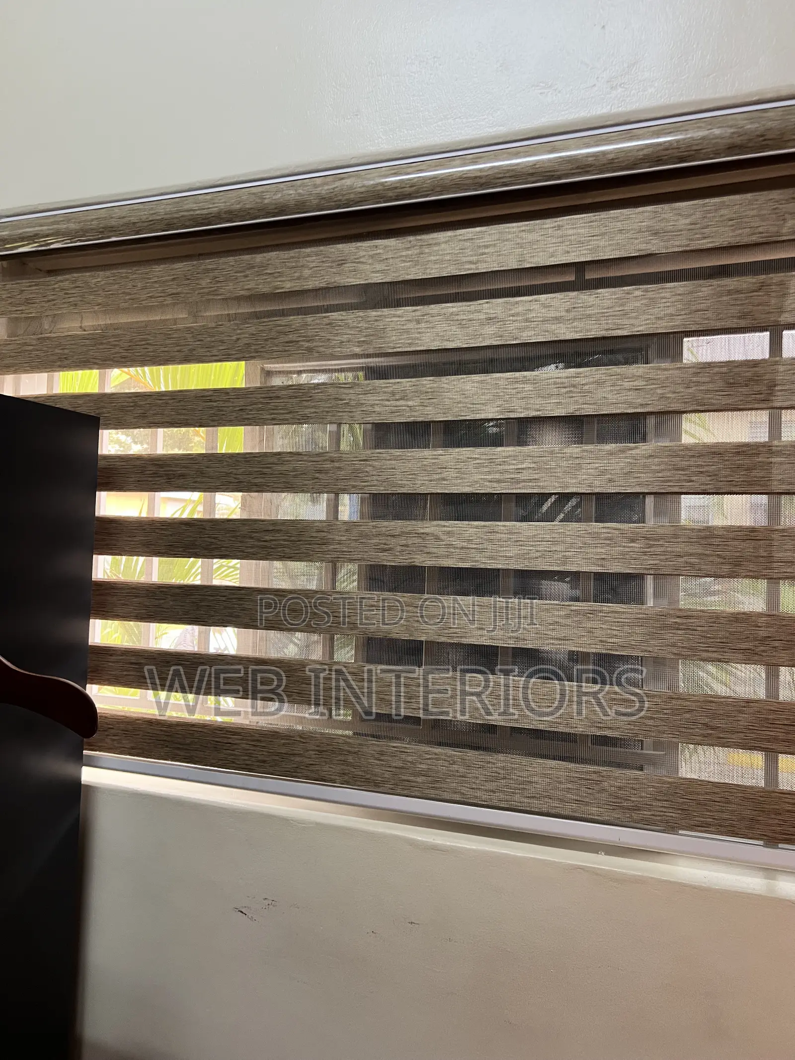 Window Blinds
