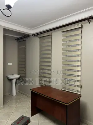 Window Blinds