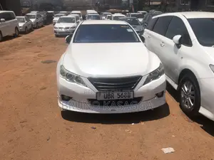Toyota Mark X 2010 White