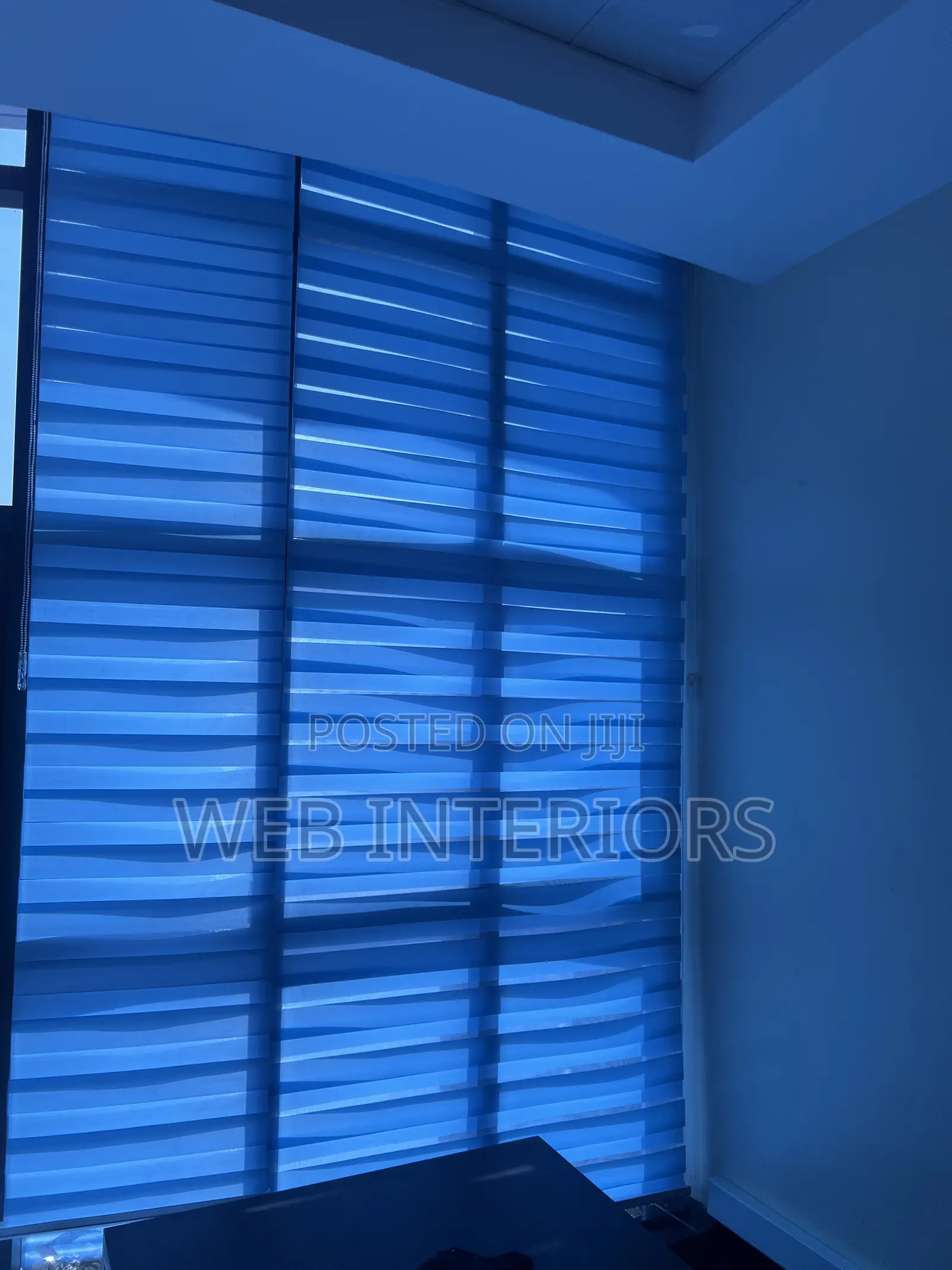Window Blinds