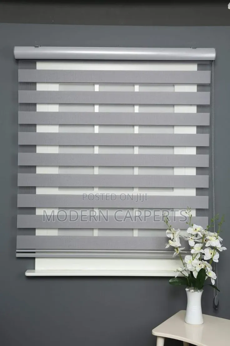 Spanish Zebra Executive Blinds