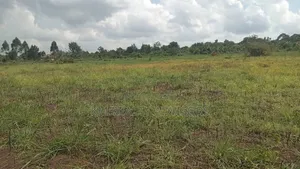 7 Acres at Nakibano in Kimenyedde, Mukono at 70m Per Acre