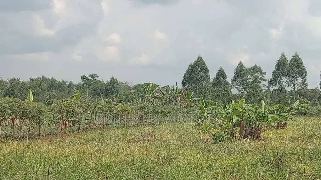 7 Acres at Nakibano in Kimenyedde, Mukono at 70m Per Acre
